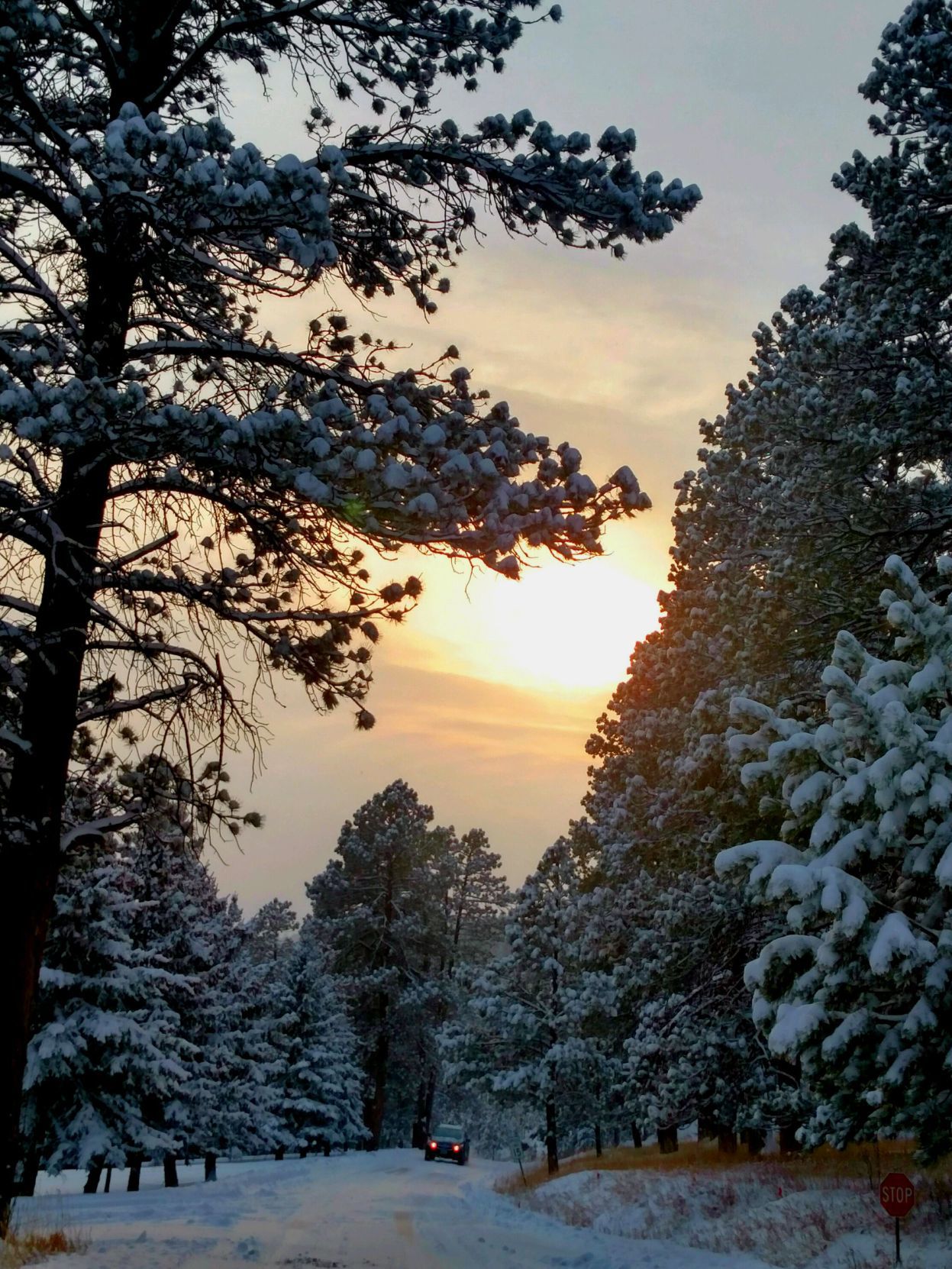 032618-nws-readerphoto